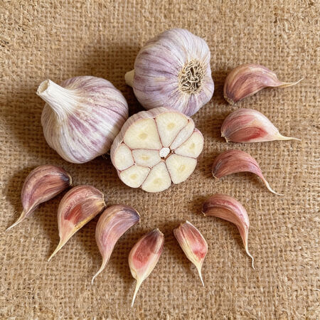 Korean Red, Garlic Bulbs - 1/4 Pound image number null